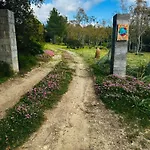 Il Di Paola *