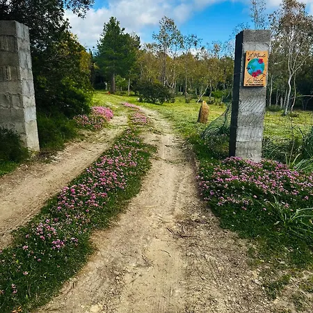Il Di Paola *